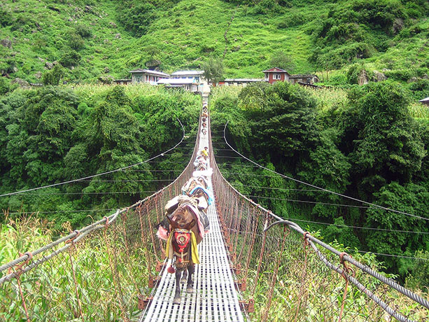 puente-annapurna