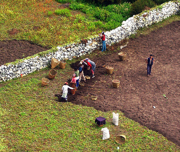 Trabajando la tierra en duras condiciones a más de 4.000 metros de altura