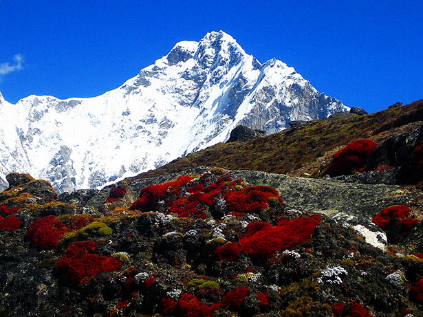 El Nuptse y la increíble vegetación que crece a 5000 metros de altura