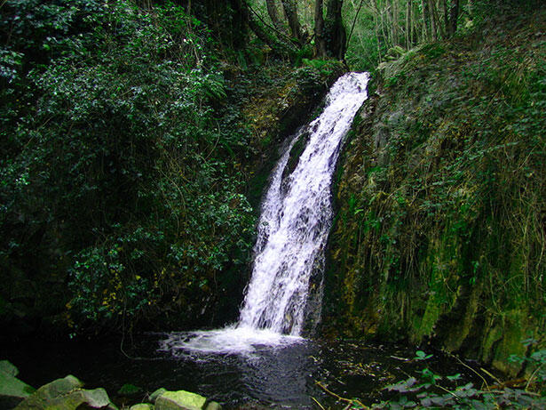 Cascada de Riells