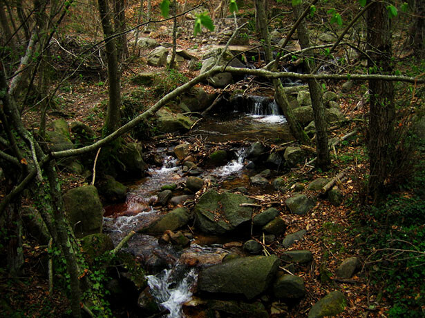 Riera de Riells en el Montseny