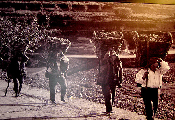 Antigua imagen en las bodegas Ferreira