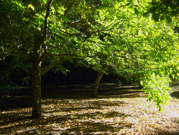 senderismo_barranco_parque_rio_dulce