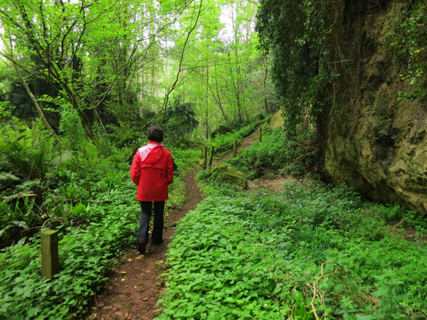 cuevas-andina-asturias