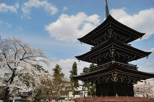 Pagoda-del-Hida-Kokubun-Ji