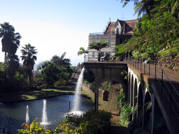 jardin-madeira