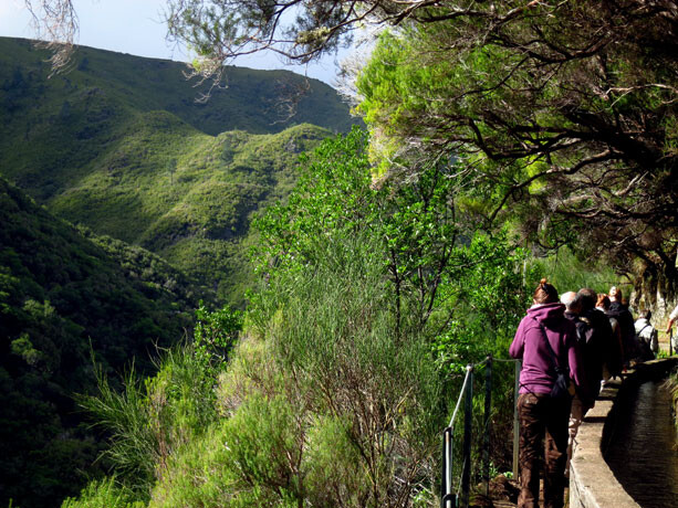 levada-madeira