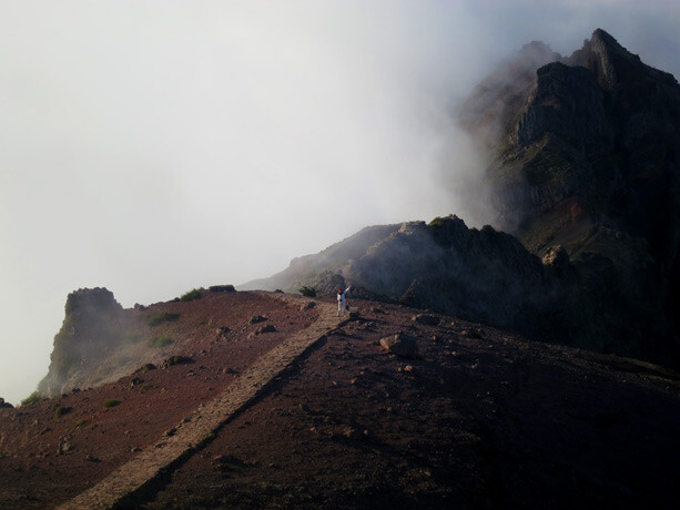 pico areiro madeira