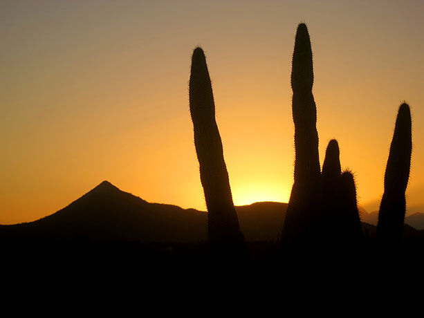 atardecer-desierto-california