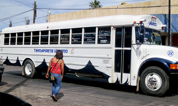 autobuses-loscabos