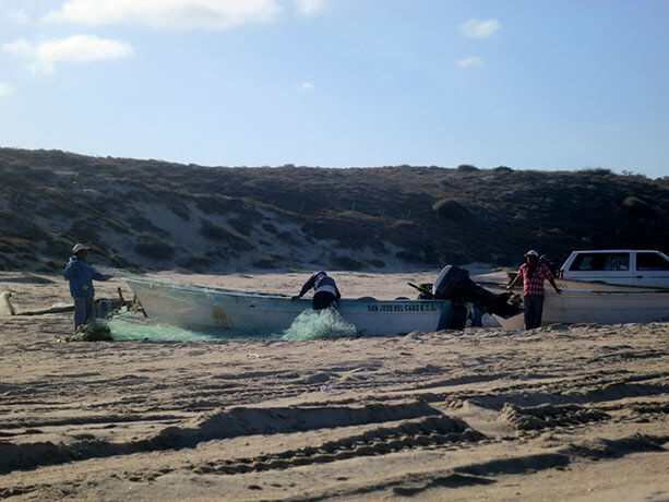 pescadores-baja-california