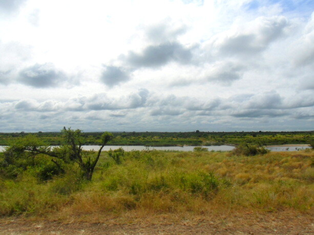 El bello paisaje del Kruger compensa los momentos en que no ves animales