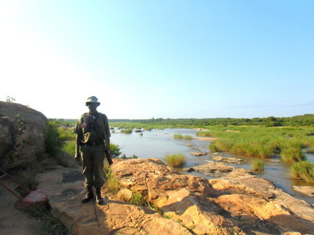 El ranger más famoso del Kruger...