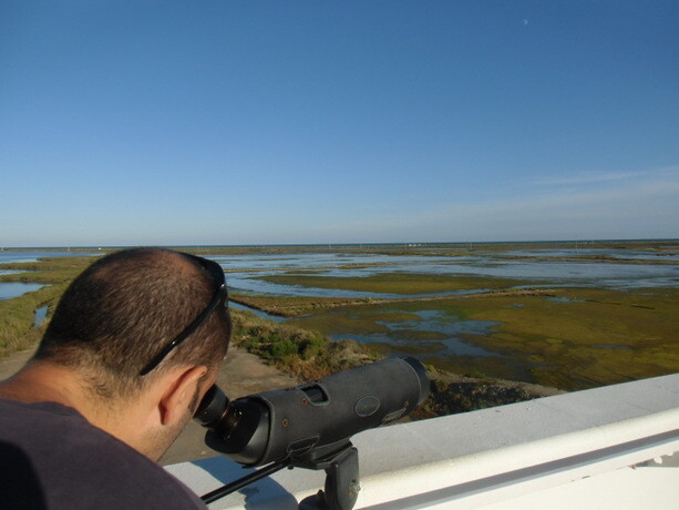 Juan Carlos en el observatorio de aves. Pudimos ver gran cantidad de ellas