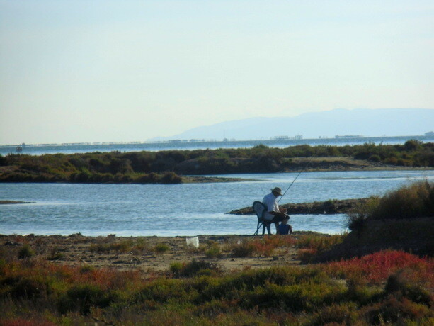 Un pescador solitario con su caña