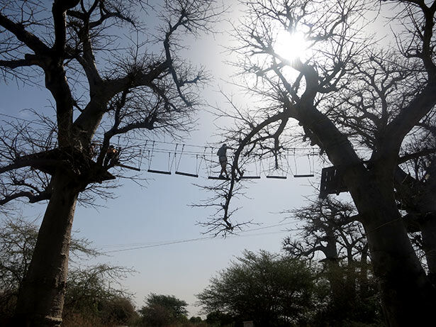 baobab-tirolina-senegal