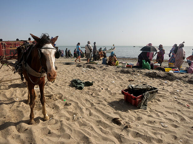 joal-beach-senegal