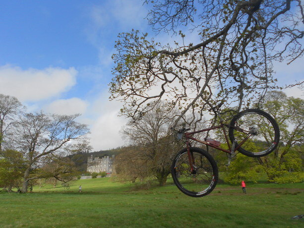 Bicis por todos lados en el Forest Park