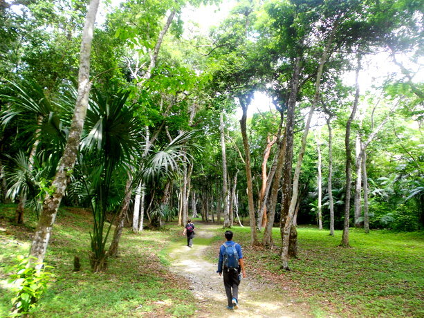 yaxha-guatemala