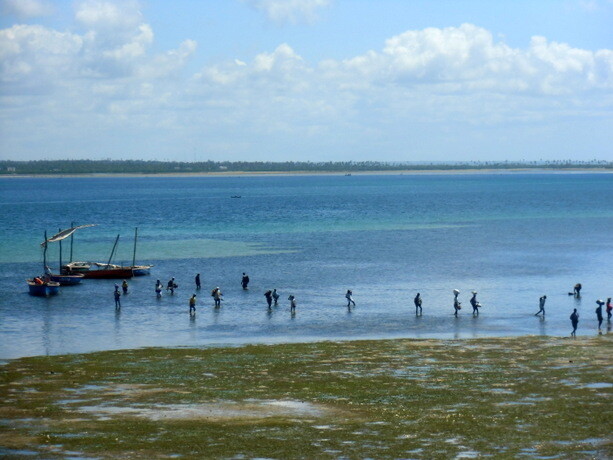 Los pescadores regresan a Isla