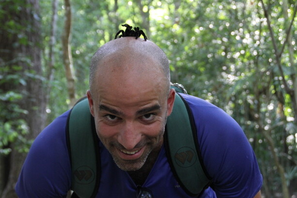 Una tarántula maya quiso cortarme el pelo