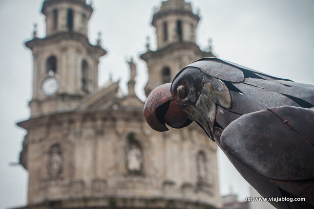 Loro Ravachol e Iglesia Virgen Peregrina en Pontevedra