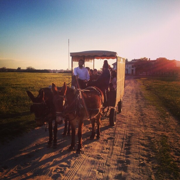 Carreta en El Rocío