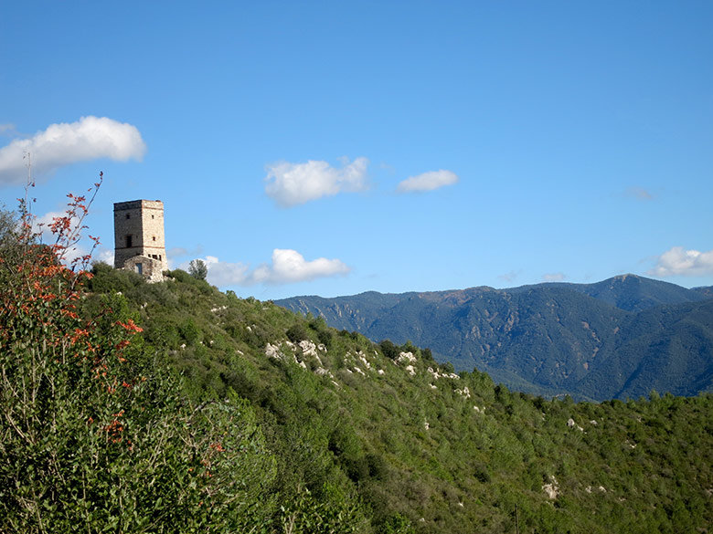 La Torre de Puiggraciós