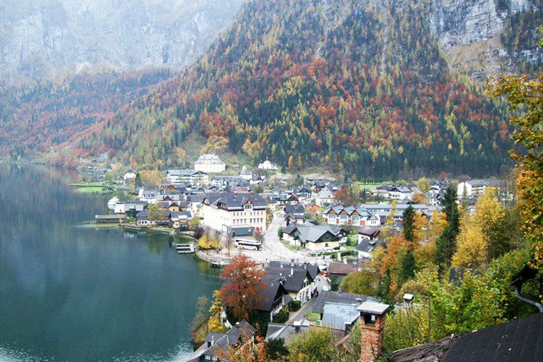 bosque-pueblo-austria