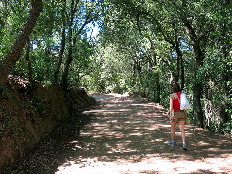 La pista principal que transcurre por el valle de Sant Iscle