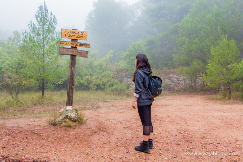 Senda GR175, Ruta del Císter, Cataluña