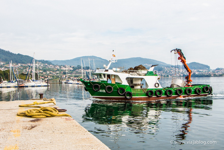 Puerto de San Adrián de Cobres, Terras de Pontevedra, Galicia