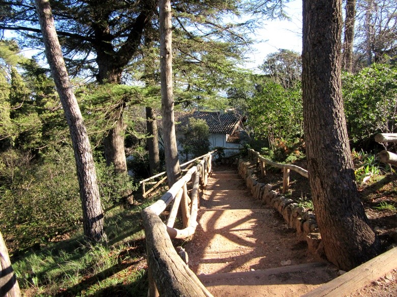 alcoy font roja