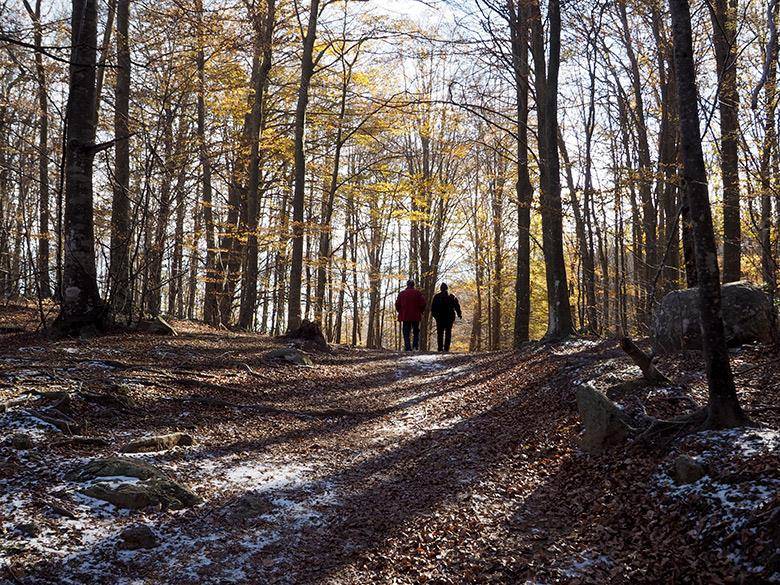 montseny invierno