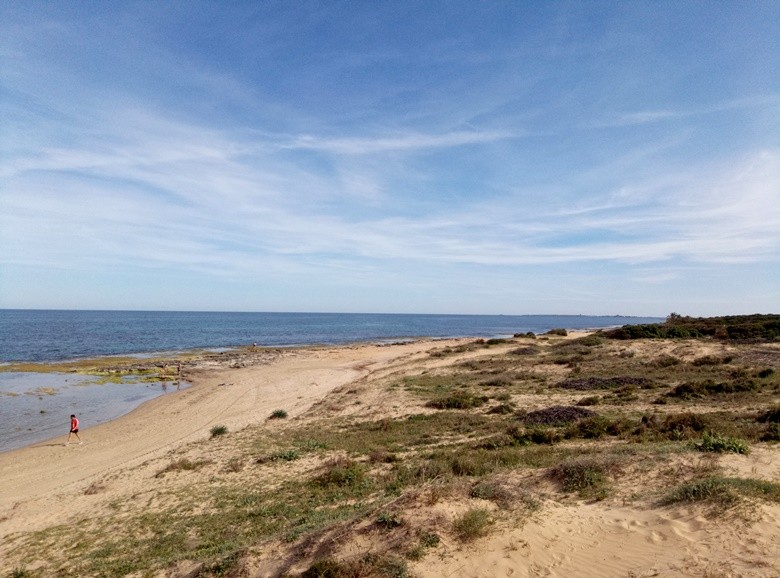 playa arenales alicante