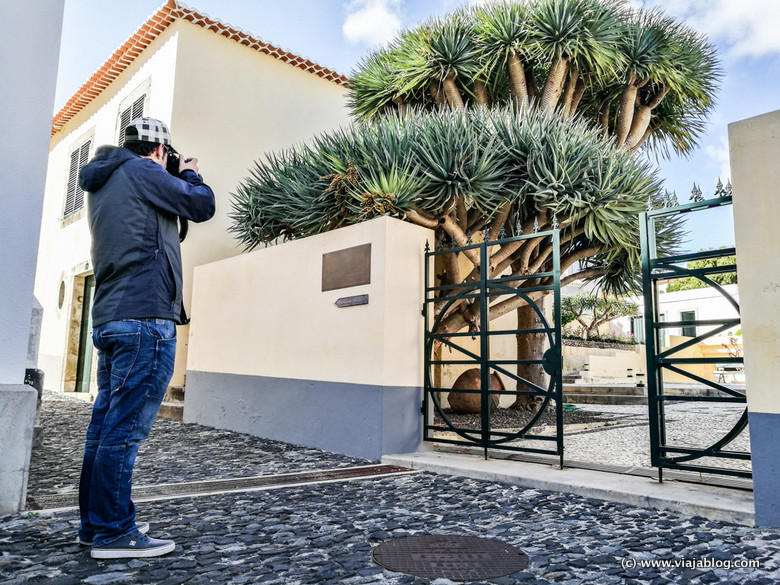 Casa de Cristobal Colón Porto Santo Madeira