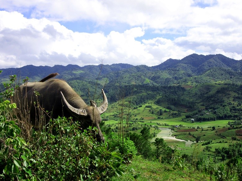 myanmar paisaje montaña