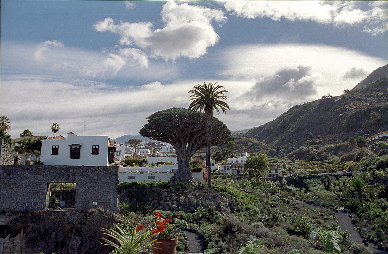 Icos de los Vinos, Tenerife