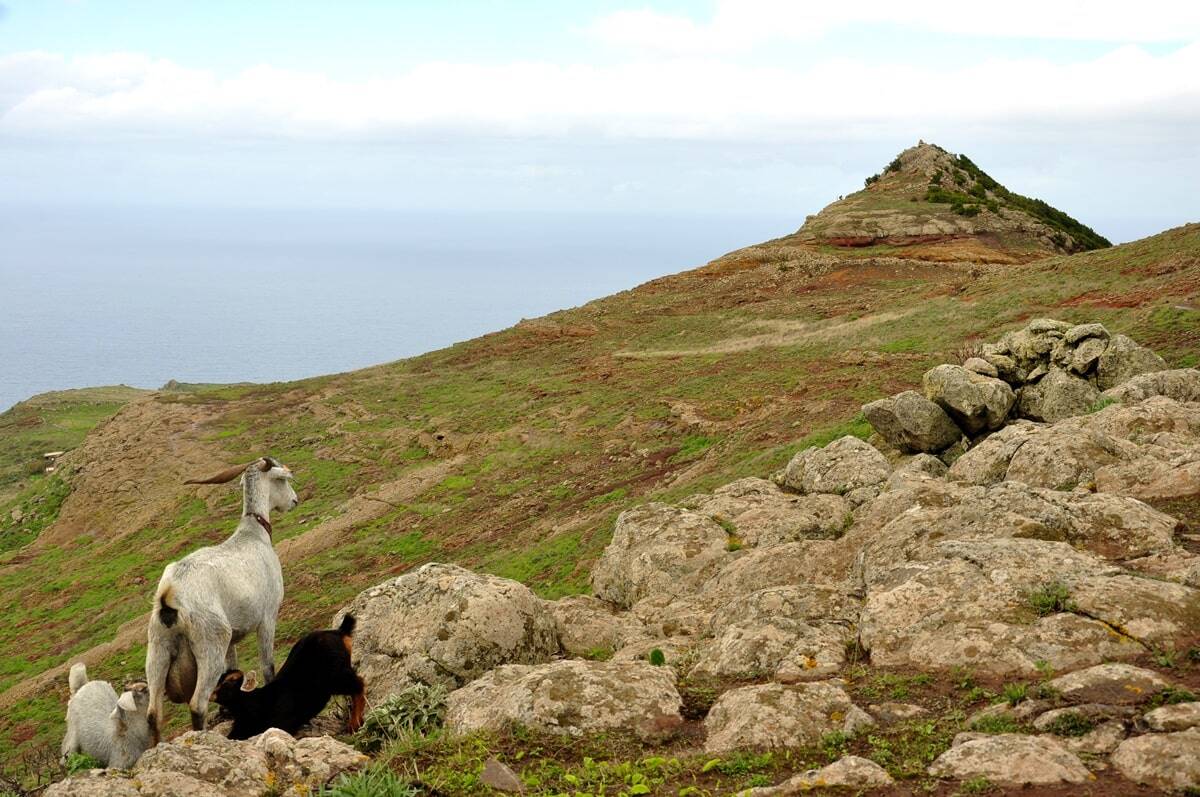 Punta de Teno Tenerife