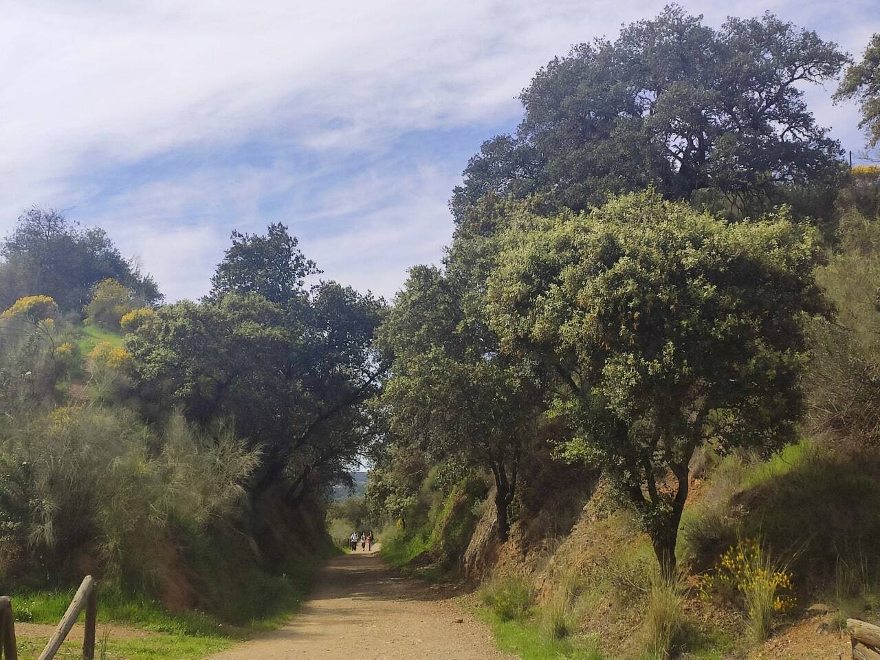 ruta vía verde El Rompillo