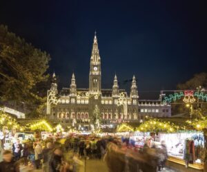 Puestos del Mercadillo de Navidad de la Plaza del Ayuntamiento de Viena © WienTourismus/Christian Stemper