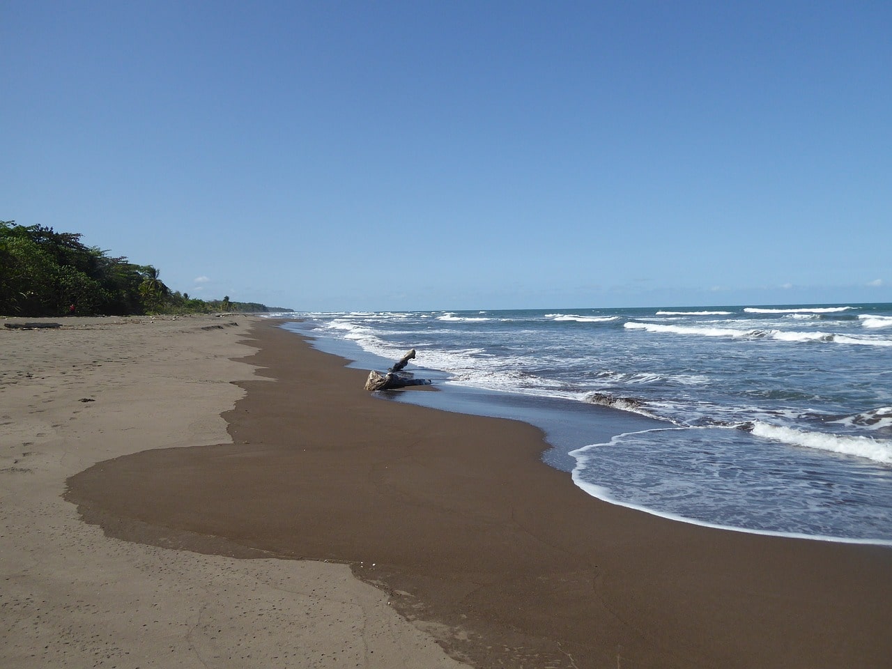 playa mar y selva