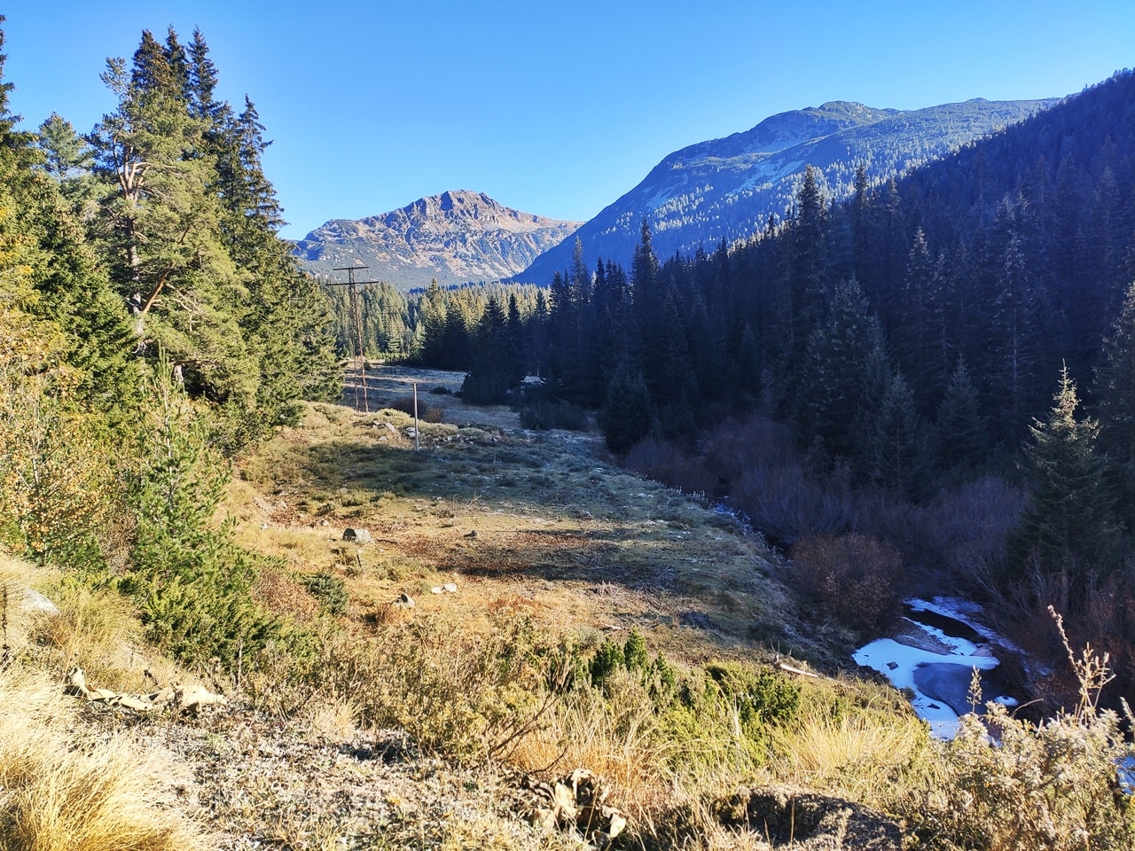bosque montaña y río bajo el sol